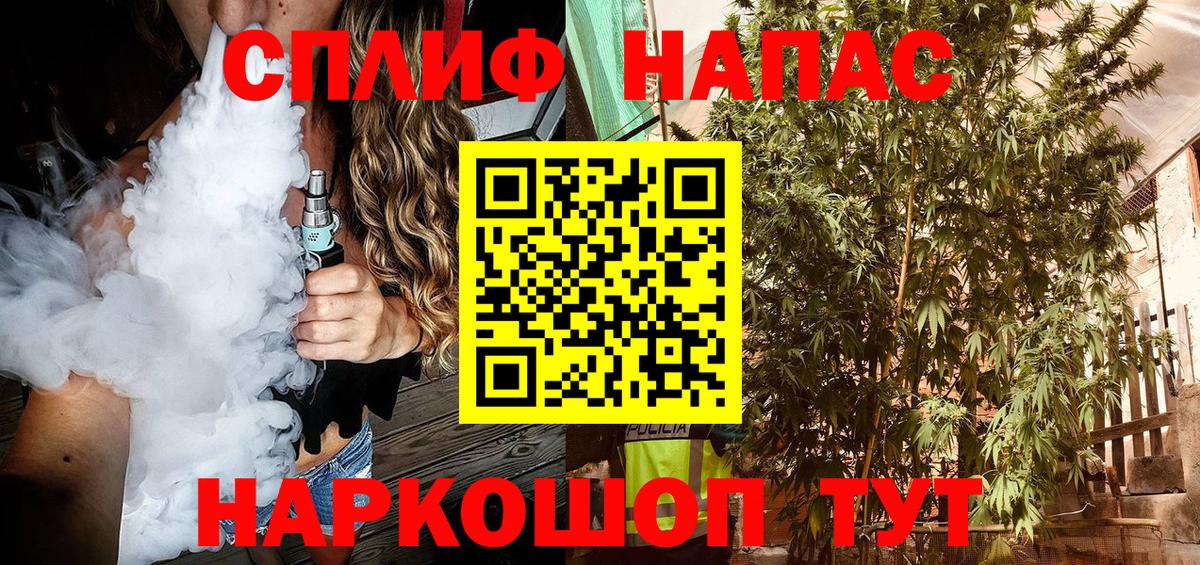 Тольятти  Шишки марихуана сатива  Вход с VPN  Бошки марихуана MAZAR  Шишки марихуана ГИДРОПОН  Шишки марихуана план 
